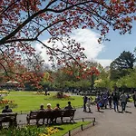 7, Centre 4* Dublin